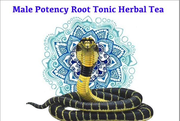 male potency root tonic herbal tea bottle gourd herbs