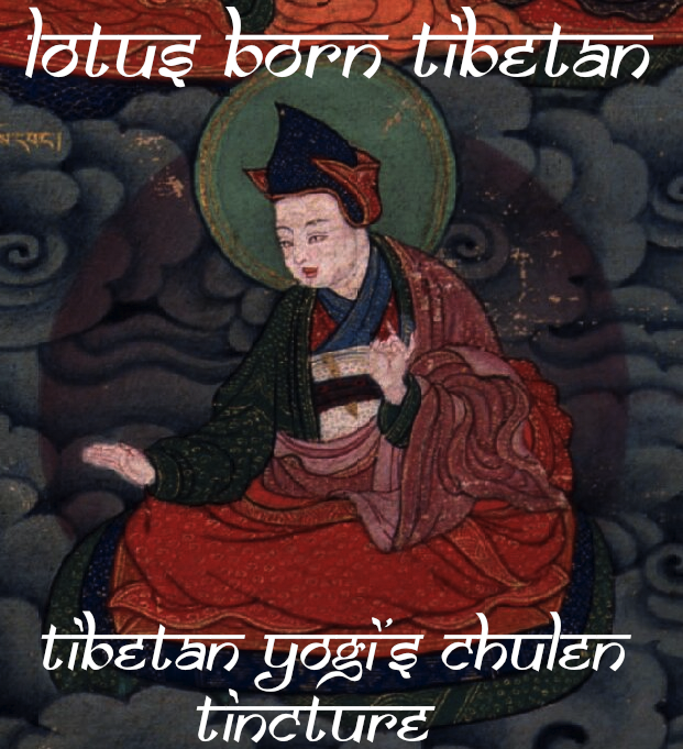 lotus born tibetan yogi's chulen tincture bottle gourd herbs