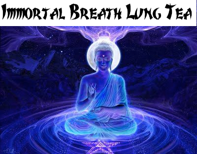 immortal breath lung tea lungs herbal bottle gourd herbs