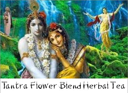 tantra flower blend herbal tea bottle gourd herbs