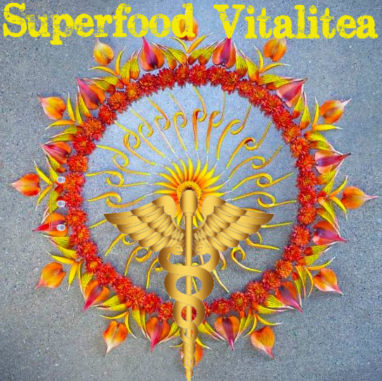superfood vitalitea herbal tea bottle gourd herbs