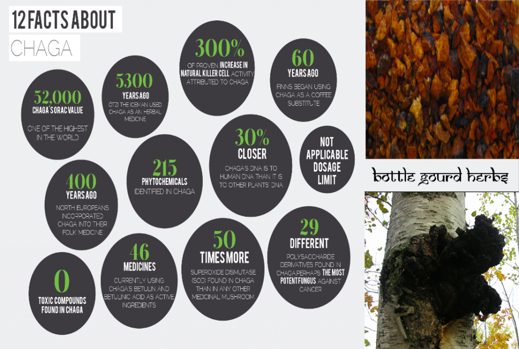 organic wildcrafted chaga bottle gourd herbs
