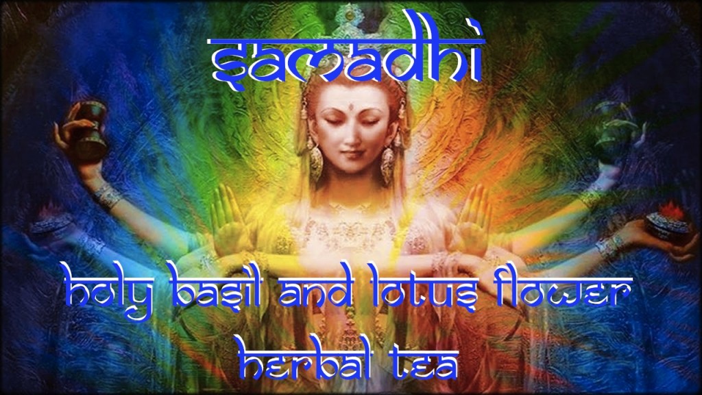 samadhi holy basil and lotus flower herbal tea bottle gourd herbs meditation