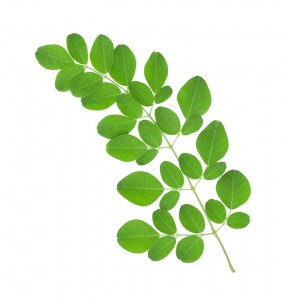 moringa baobab super food powder smoothies