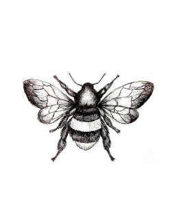 black-bee-serum
