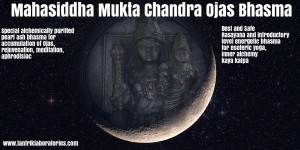 mahasiddha mukta chandra ojas bhasma